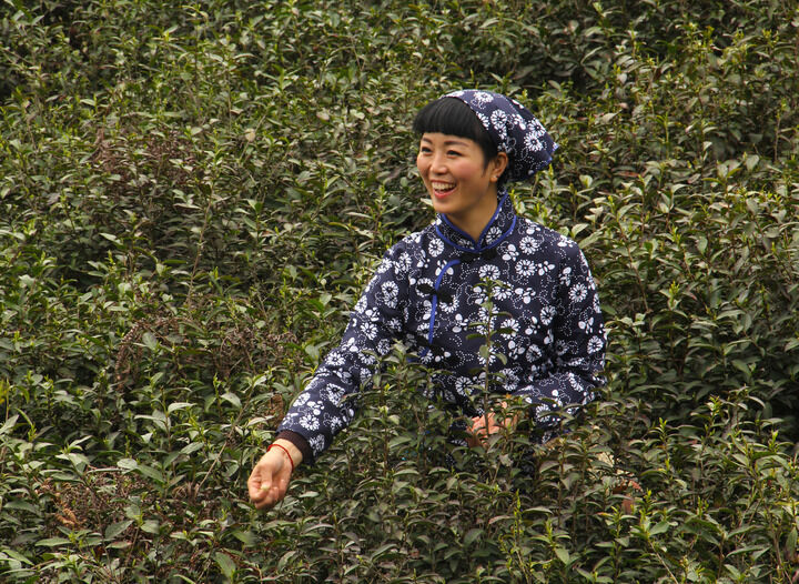 雨伞下的秘密 166网主播